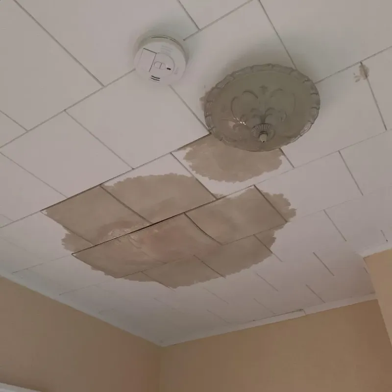 Ceiling Water Damage Repair in Saint Albans, VT