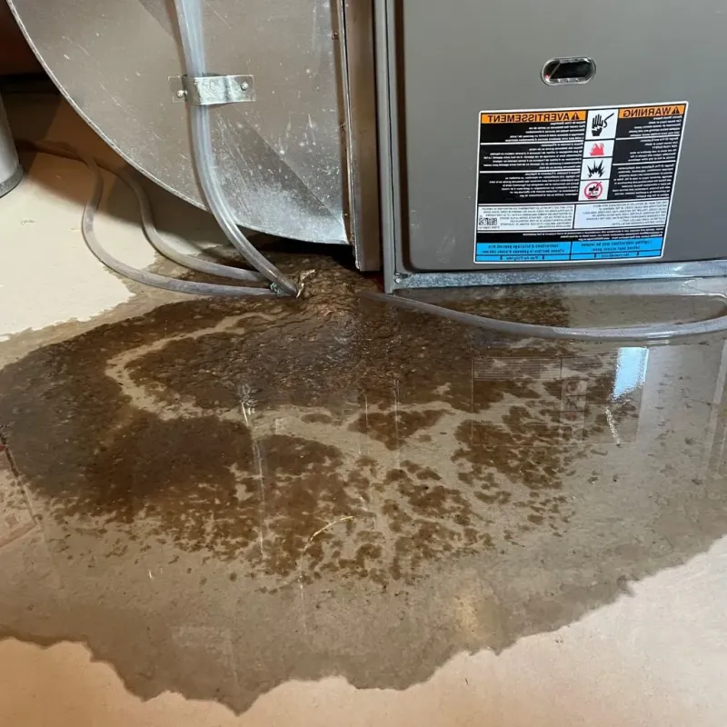 Pipe Burst and Leak Restoration in Saint Albans, VT