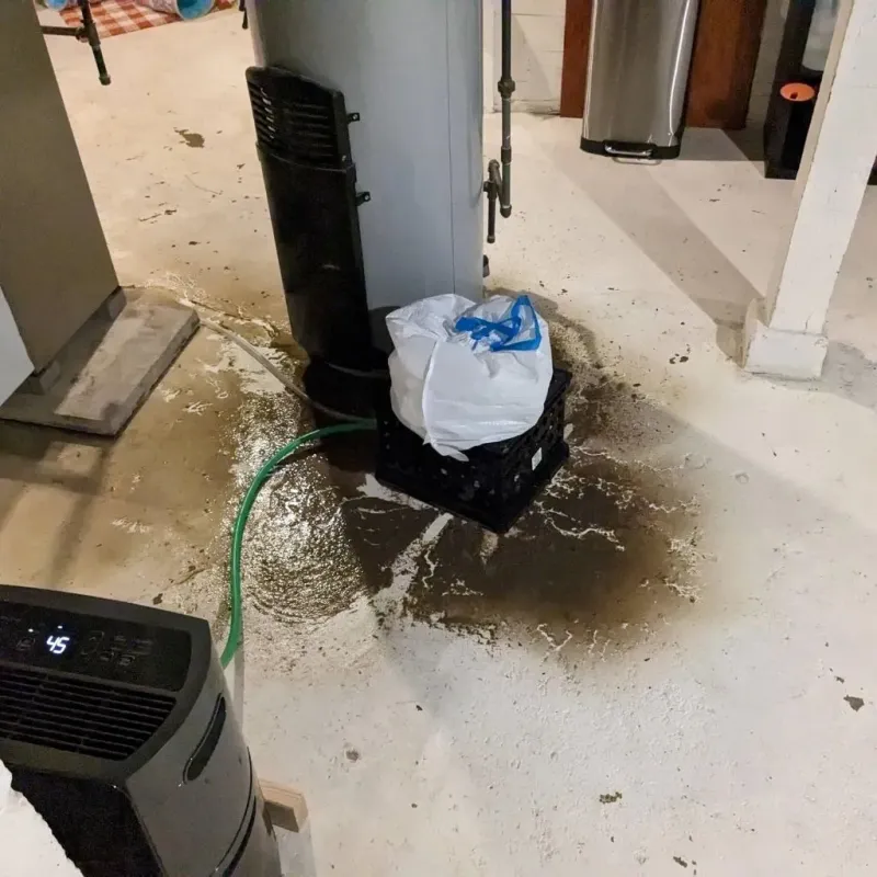 Sewage Backup Cleanup Service in Saint Albans, VT